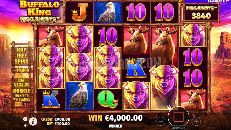 Biểu Tượng Wild Và Scatter Trong Buffalo King